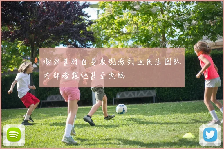 谢尔基对自身表现感到沮丧法国队内部透露他甚至失眠