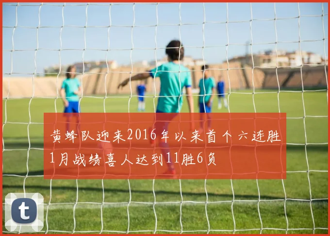 黄蜂队迎来2016年以来首个六连胜1月战绩喜人达到11胜6负